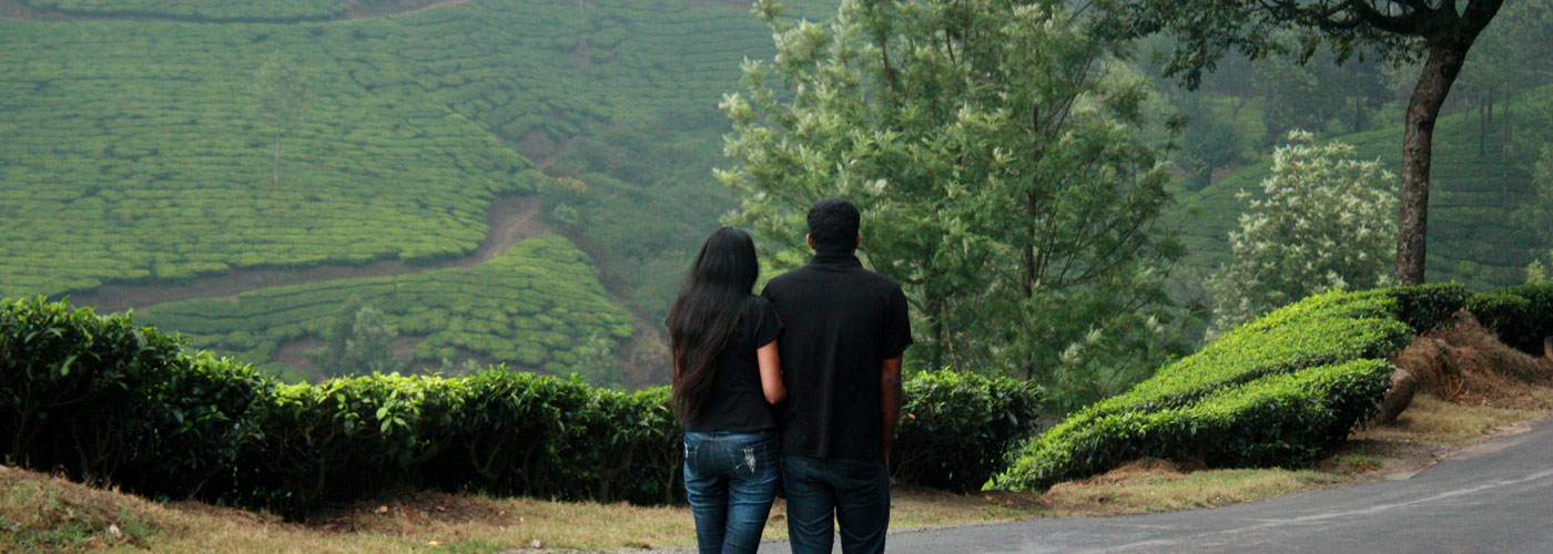 Valparai-Topslip Wildlife Tours