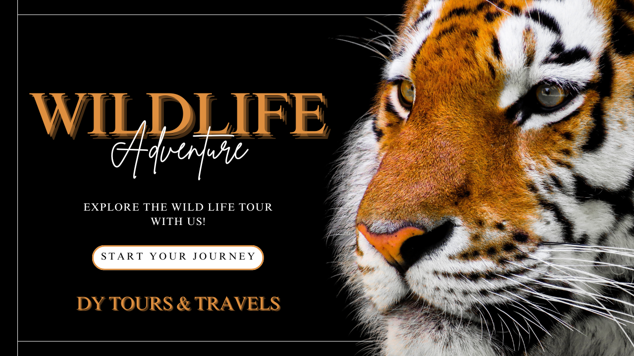 Valparai Wildlife Tours